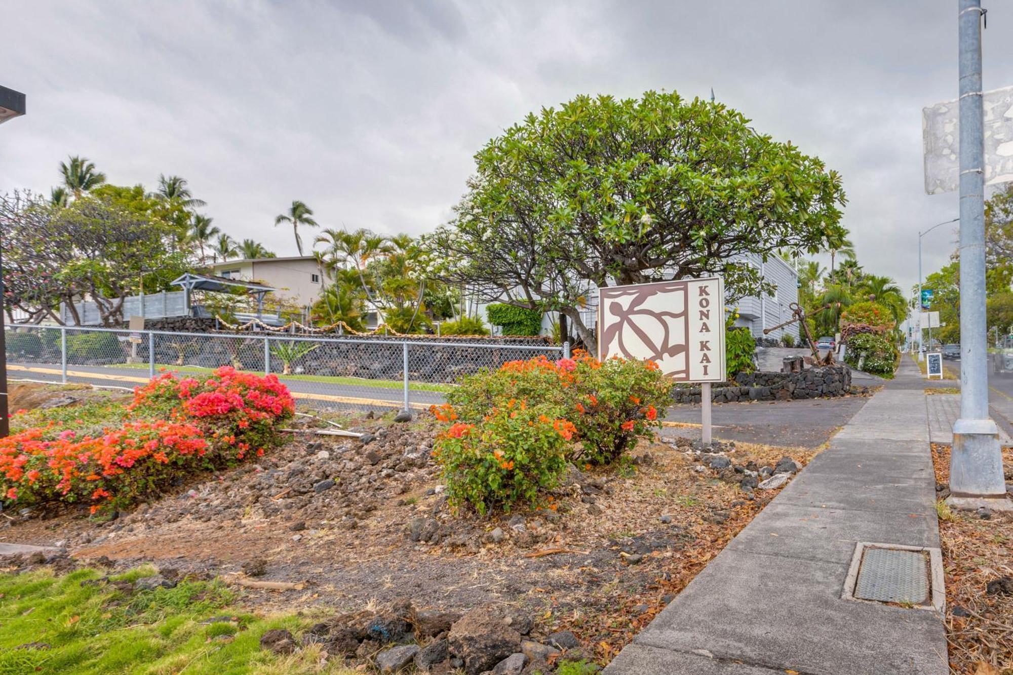 Kona Kai Haven With Pool Access, Walk To Beach! Kailua-Kona Eksteriør bilde